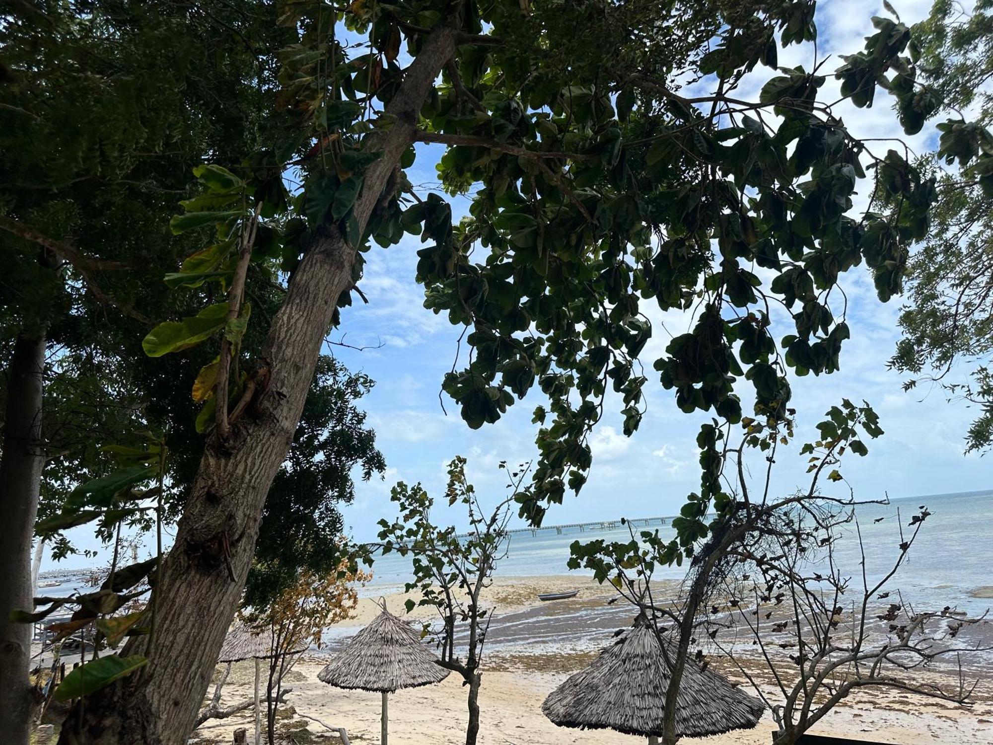Maweni Beach Bungalows คิลินโดนี ภายนอก รูปภาพ